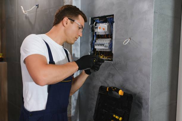 Best Electric Panel Repair  in Sanford, CO
